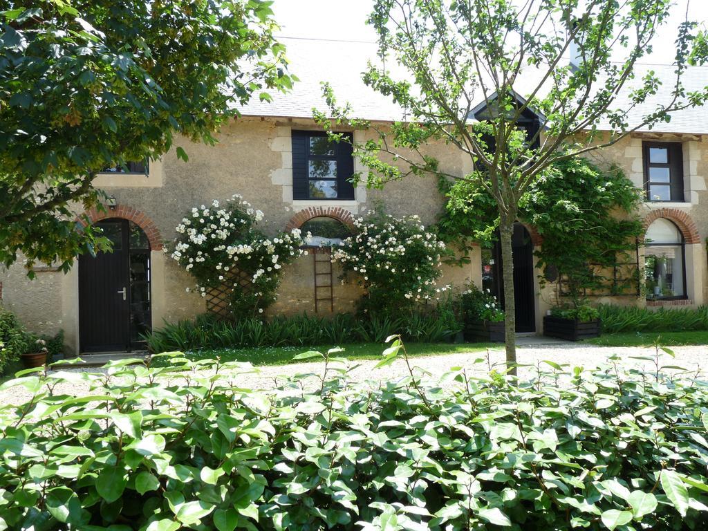 Bed and Breakfast La Ligne Angles-sur-lʼAnglin Exterior foto