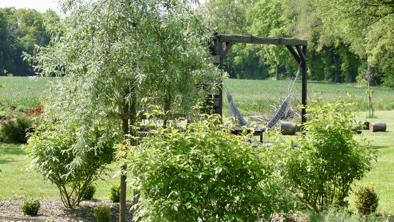 Bed and Breakfast La Ligne Angles-sur-lʼAnglin Exterior foto